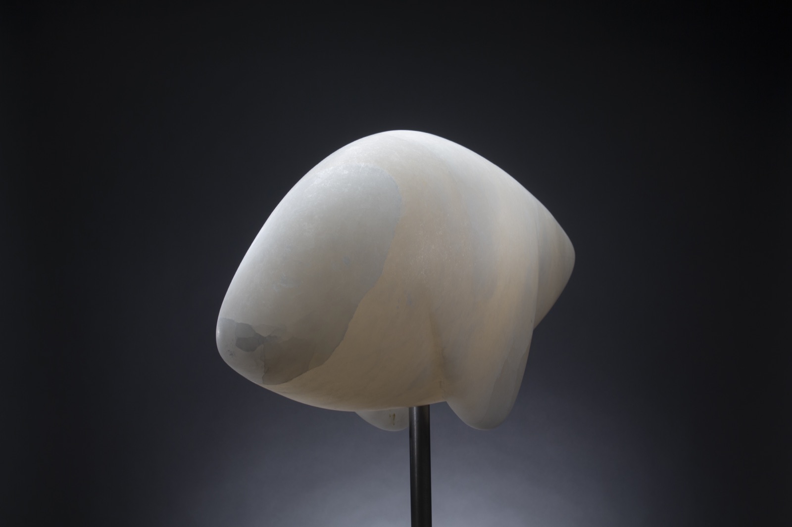 Drooping Fins — detail view