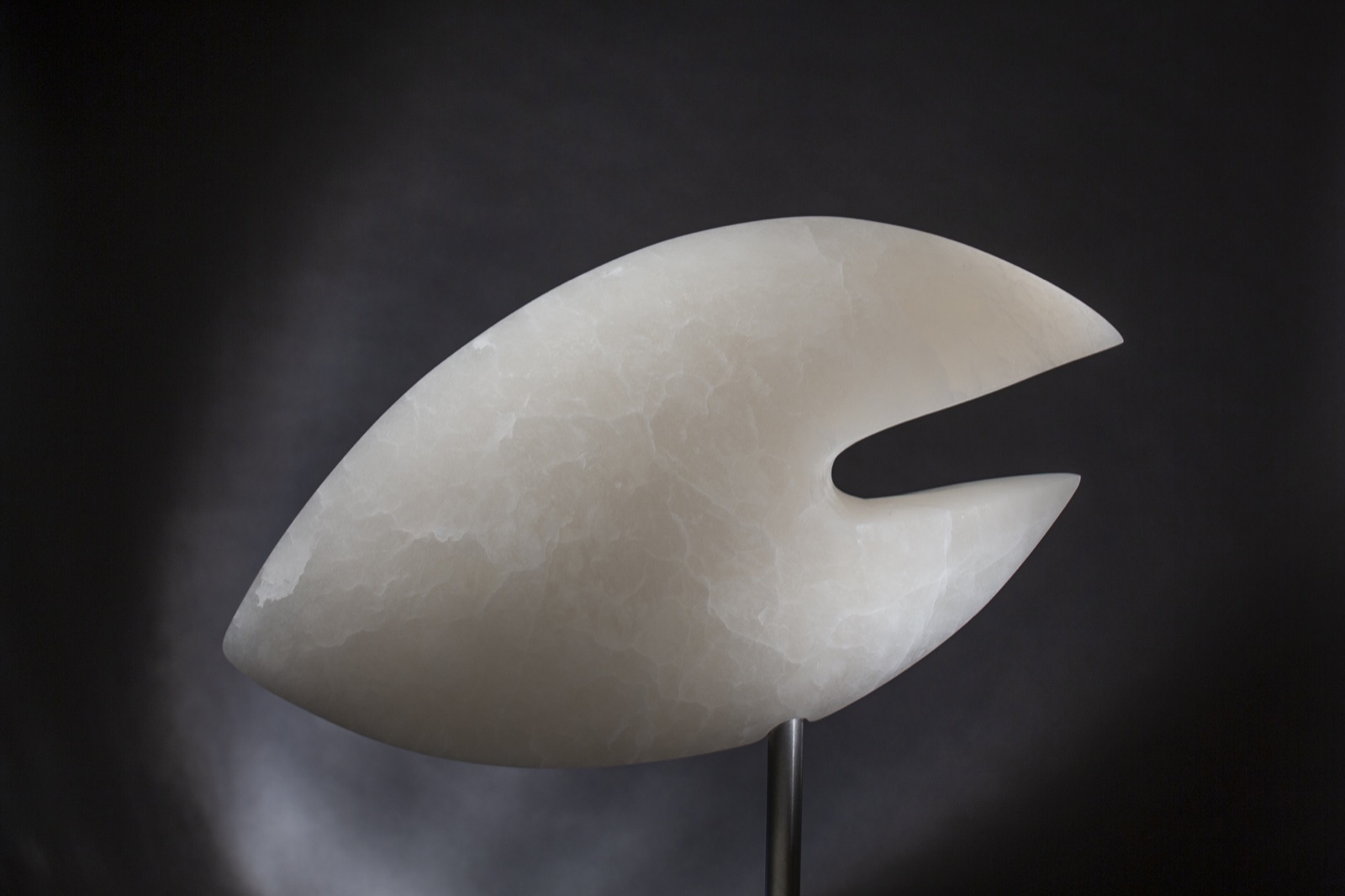 Rising Fish — primary view