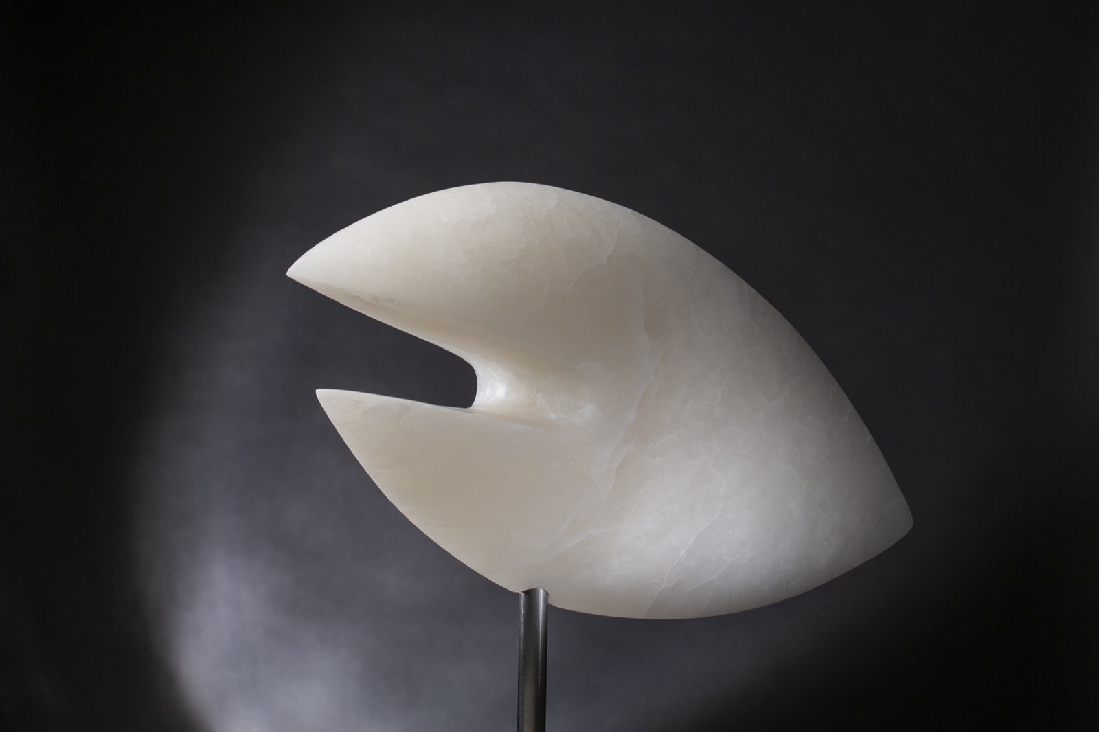 Rising Fish — detail view