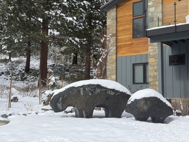 Mountain Creatures